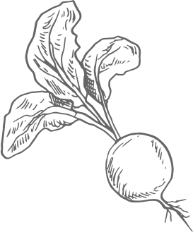 右上イラスト