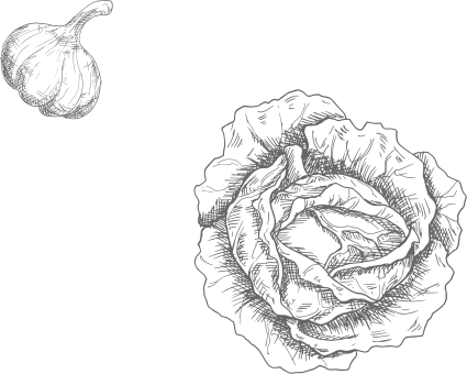 右上イラスト