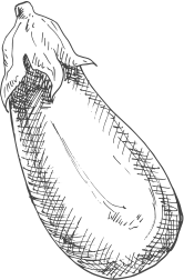 右上イラスト